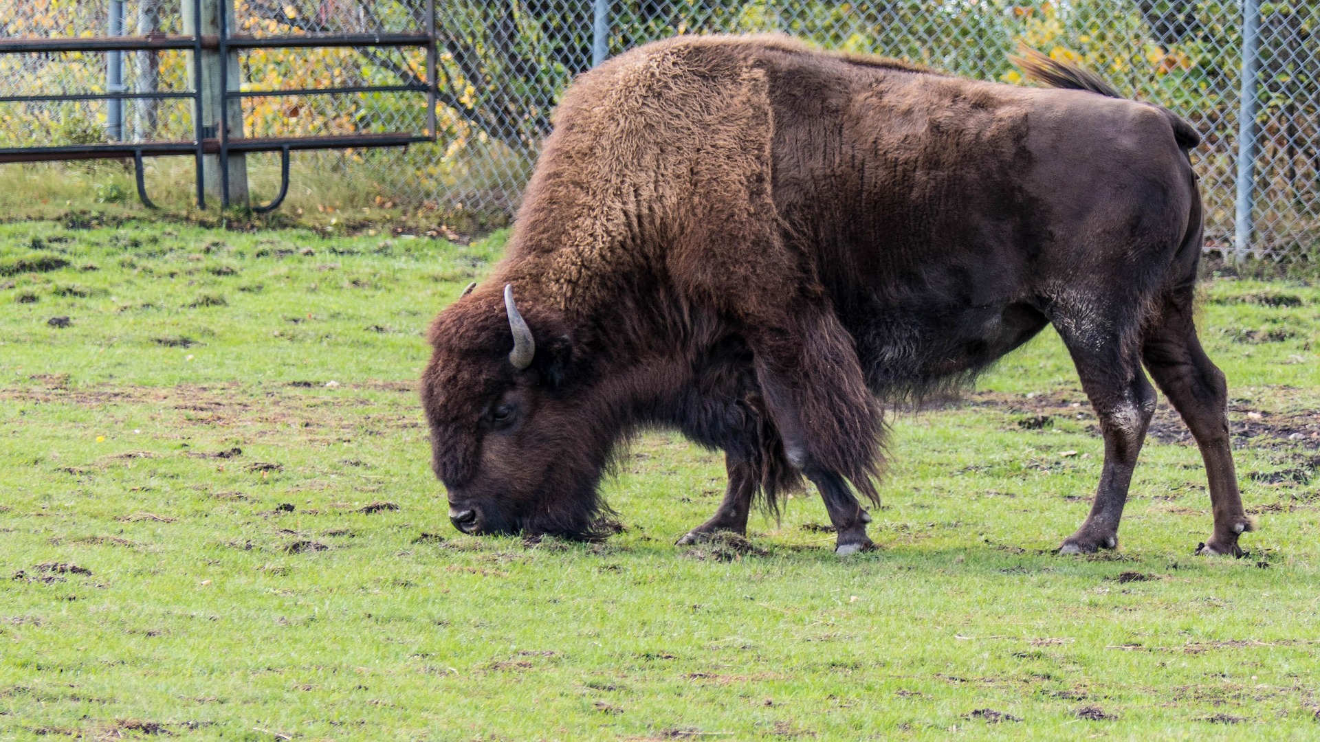 Top Places to Visit in Manitoba and Things To Do (A First-Hand Travel Story)