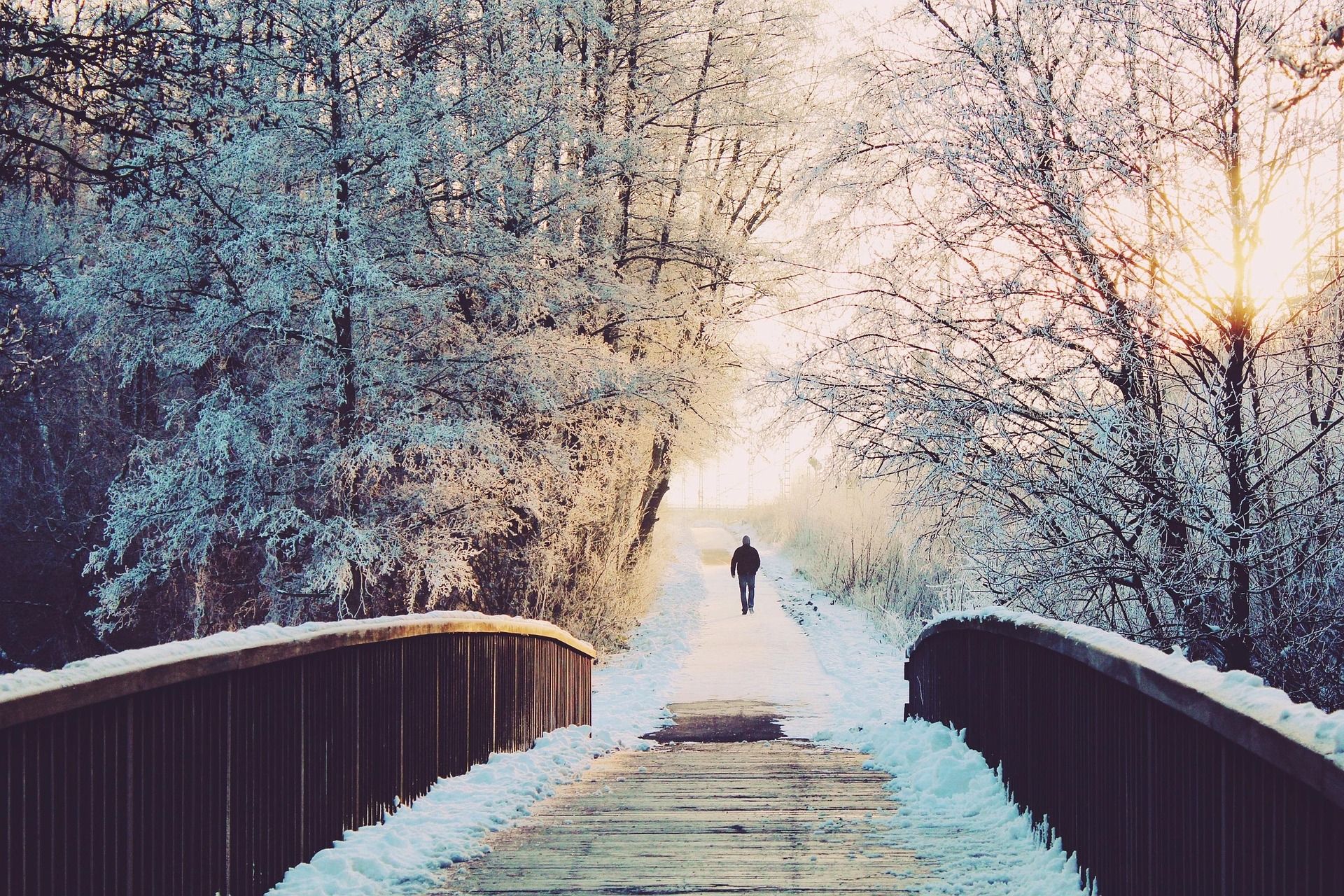 Top 5 Winter Spots in Winnipeg (A Personal Guide to Embracing the Cold)